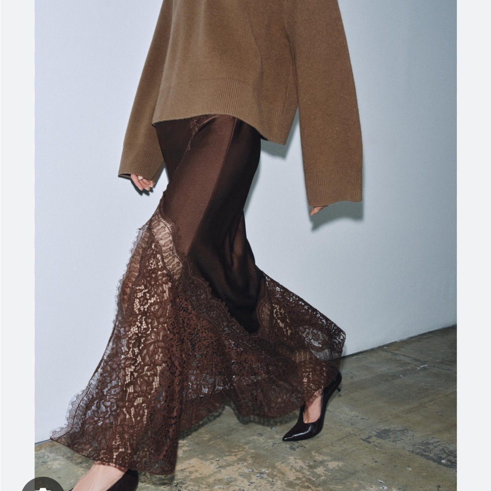 Zara Brown Sheer Lace Maxi Skirt